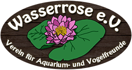 Wasserrose-Ingolstadt
